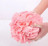 Loofah Sponge